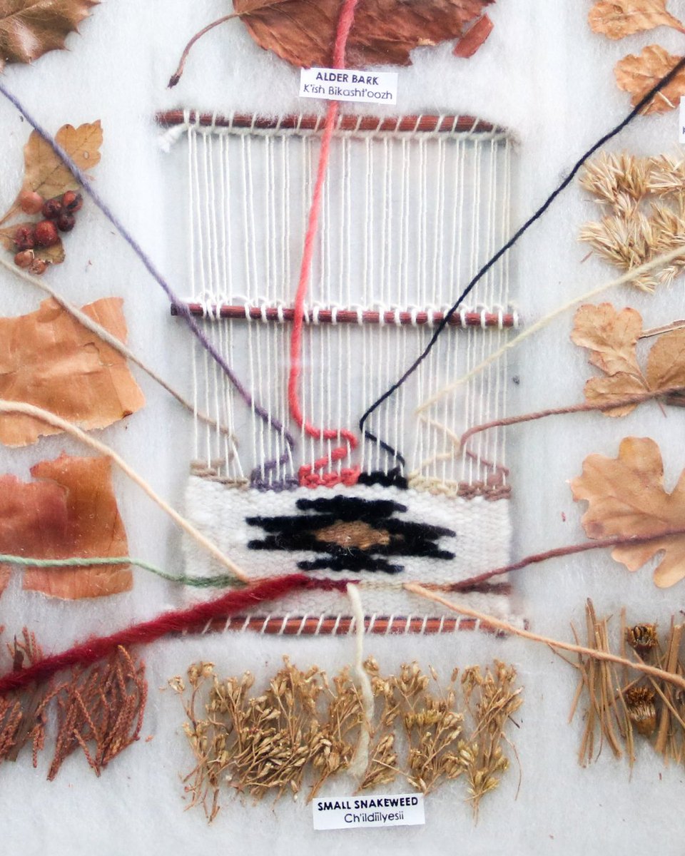 PurdueLibraries's tweet image. During Native American Heritage Month, we honor traditions and artistry of Navajo women who use plants to create dyes for wool weavings. This frame of leaves and loom shows the plants behind the natural colors,
celebrating resilience and knowledge passed down through generations.
