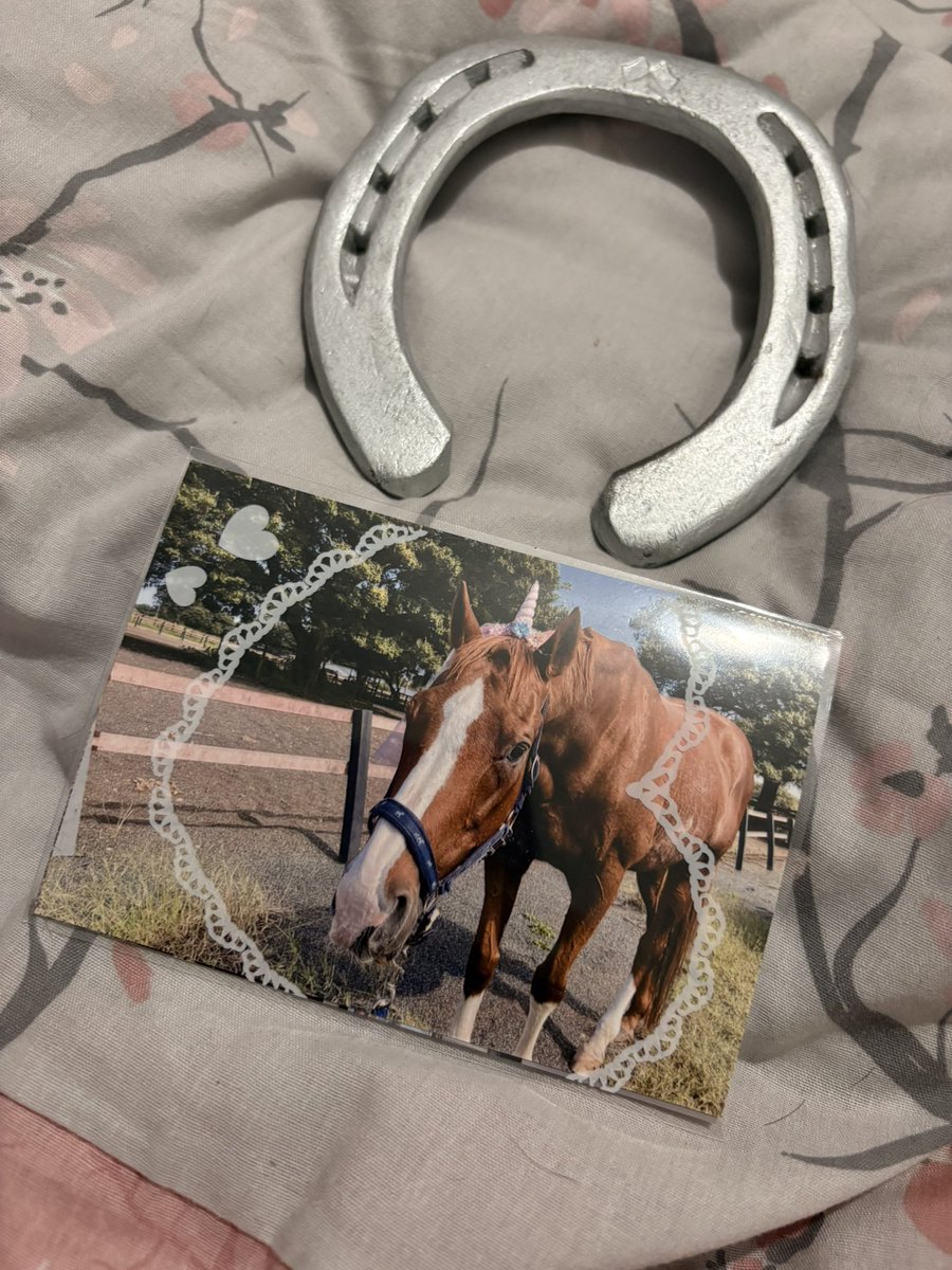 thank you <a href="/jvLVe1HRZDFTYu1/">すあま@愛馬ルミといっしょ</a> !!! ❤️ lumipon is so cute