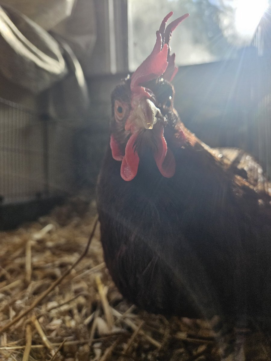 Rstrboy's tweet image. Actually that pic is a few weeks old. 

What do you need all that for. For real