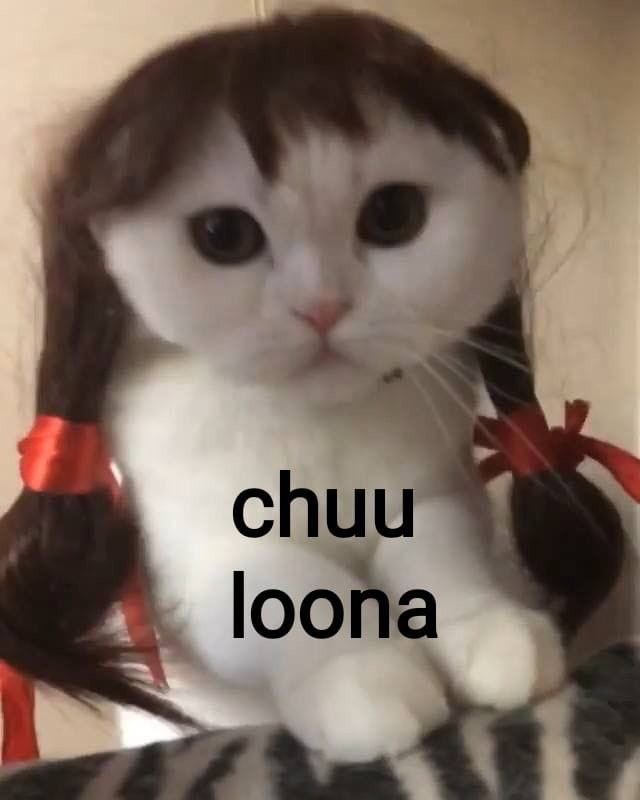 cece💧 (@chuumaniac) on Twitter photo 