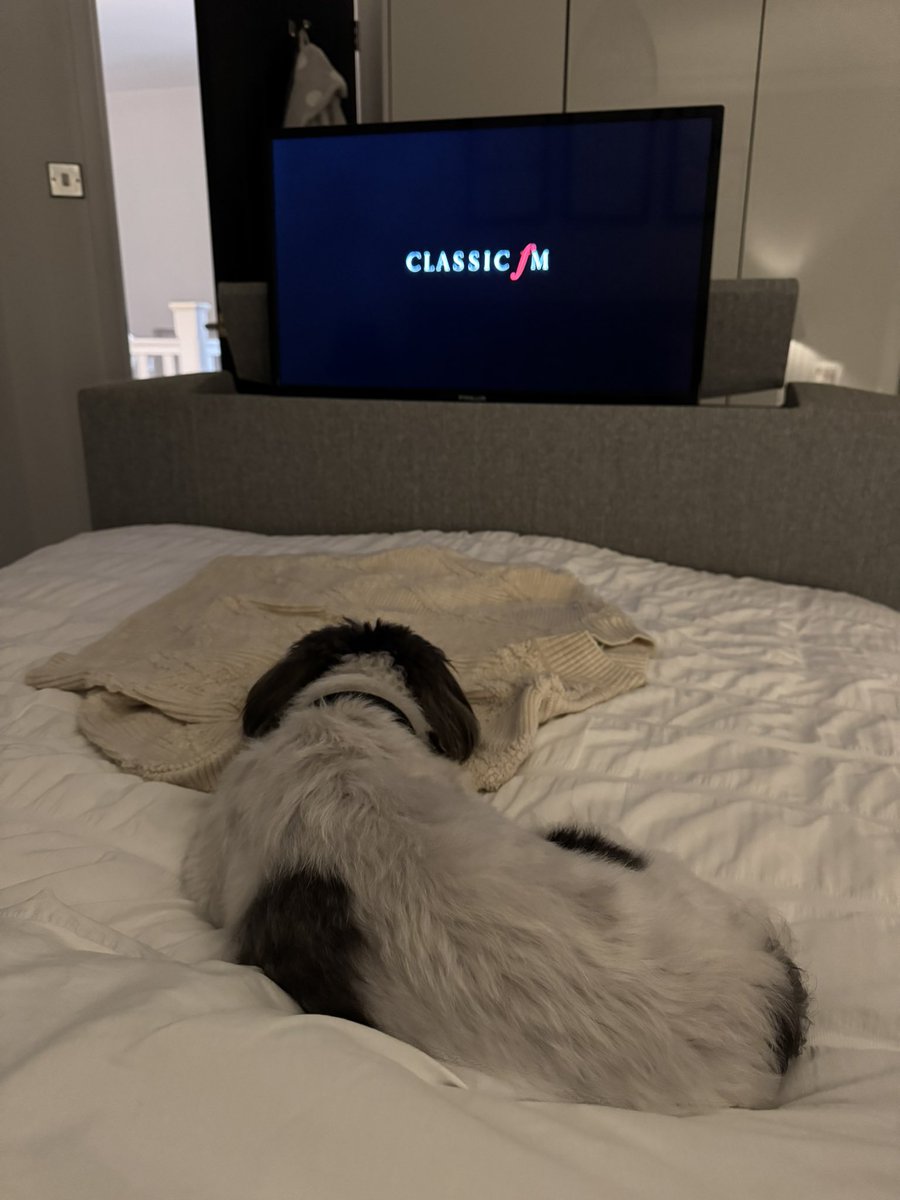 jasonbrownlfc7's tweet photo. Charlie relaxing with @ClassicFM thanks @mrdanwalker https://t.co/XMVw3ZCy2V