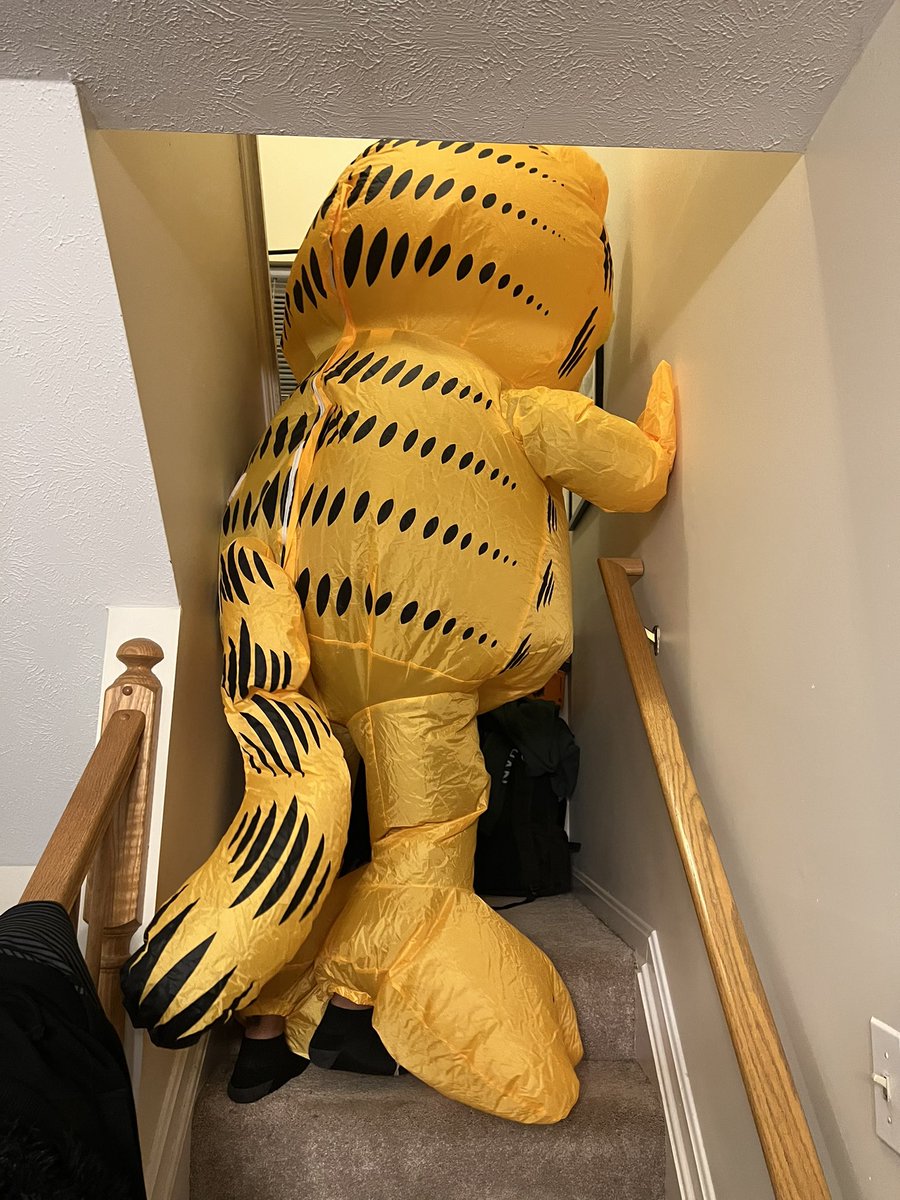 This was <a href="/antiquation/">pookie kev</a> on my stairs in the Garf costume