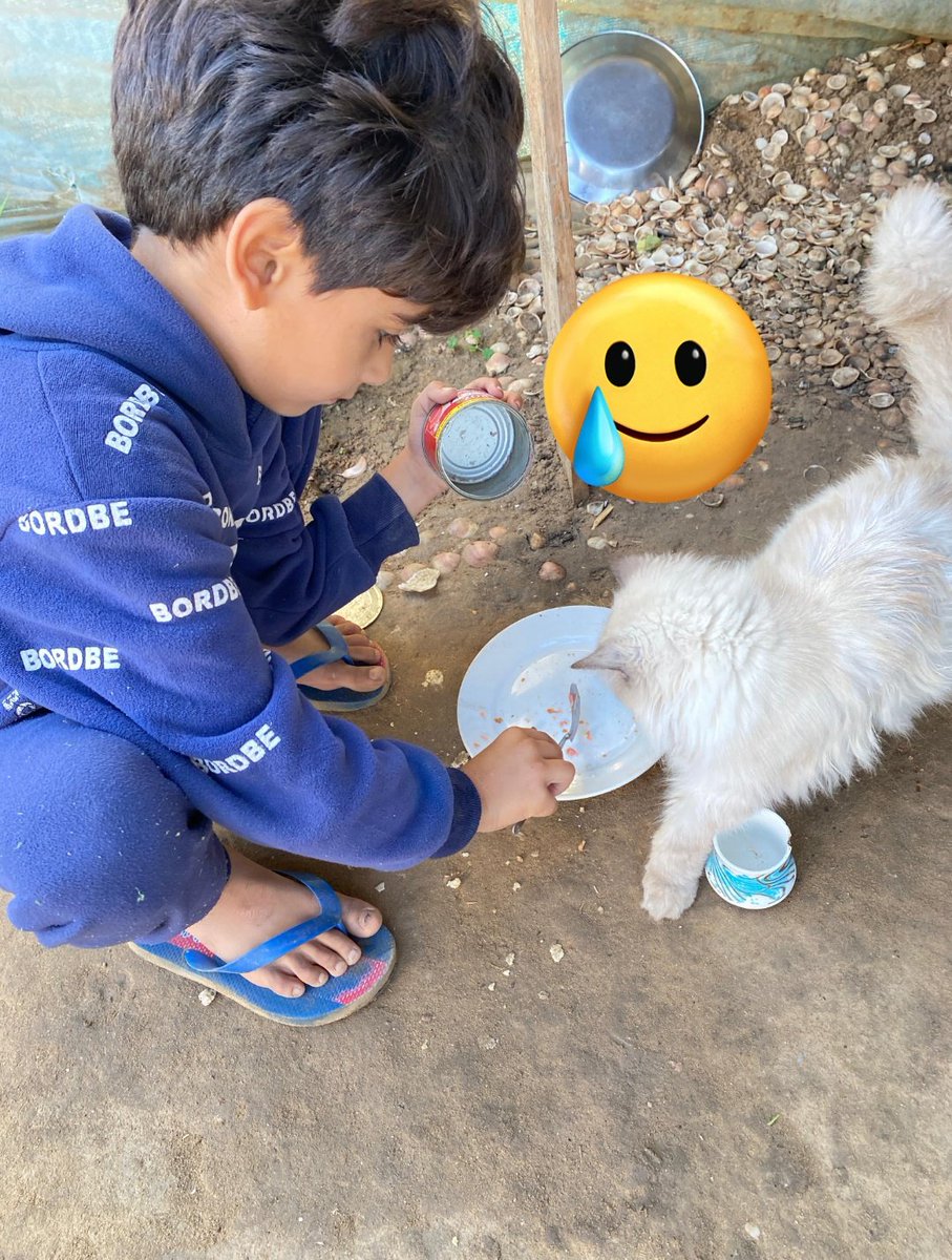 namer6549's tweet image. Please don’t just scroll by…
A single share from you could bring real help to my family 🙏
Every repost, every word, every bit of support means hope for us.
I still believe in kind hearts out there 💔

gofund.me/d552bc6b