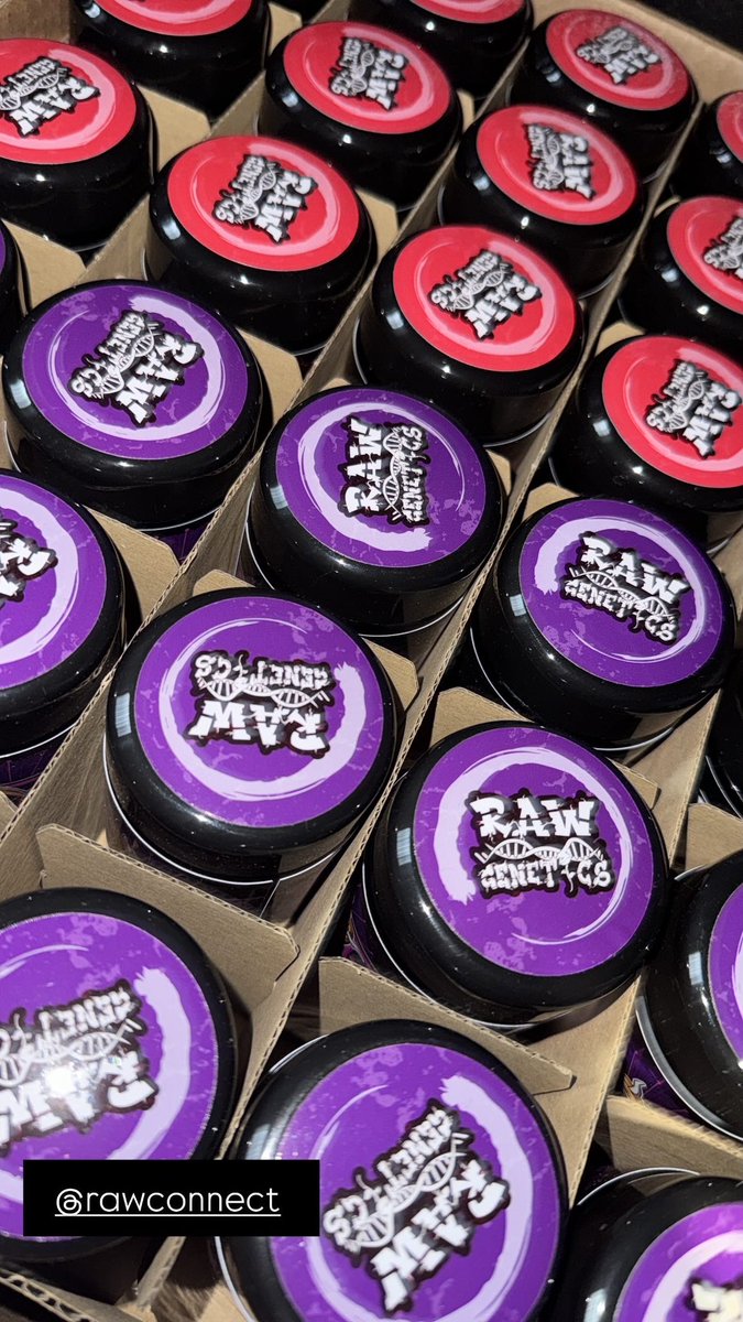 Get in where you fit in
Zikigai &amp; Purple Zikigai
(For the Z heads)
<a href="/Raw_Genetics_/">Raw Genetics</a>