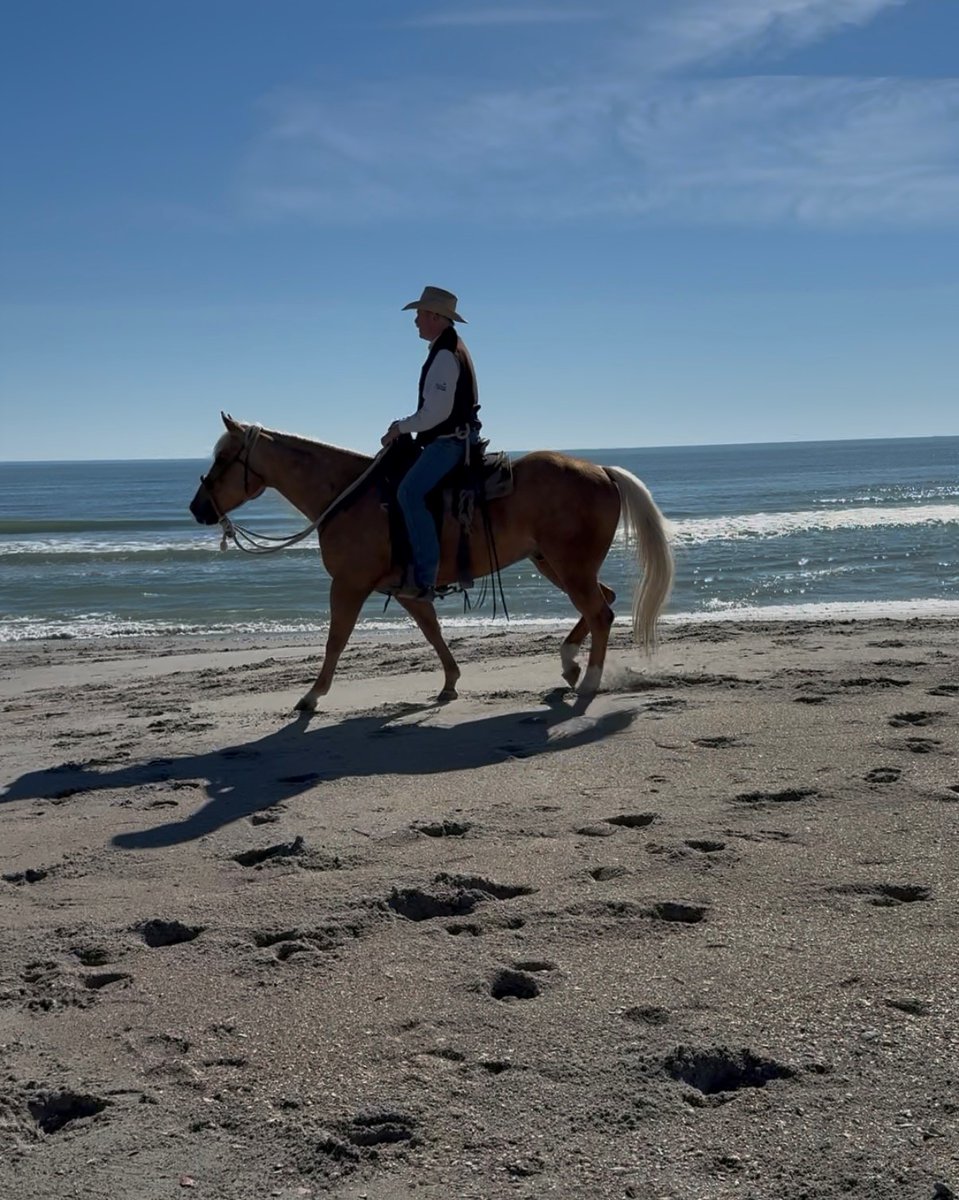 American Heart Association - SC tweet media