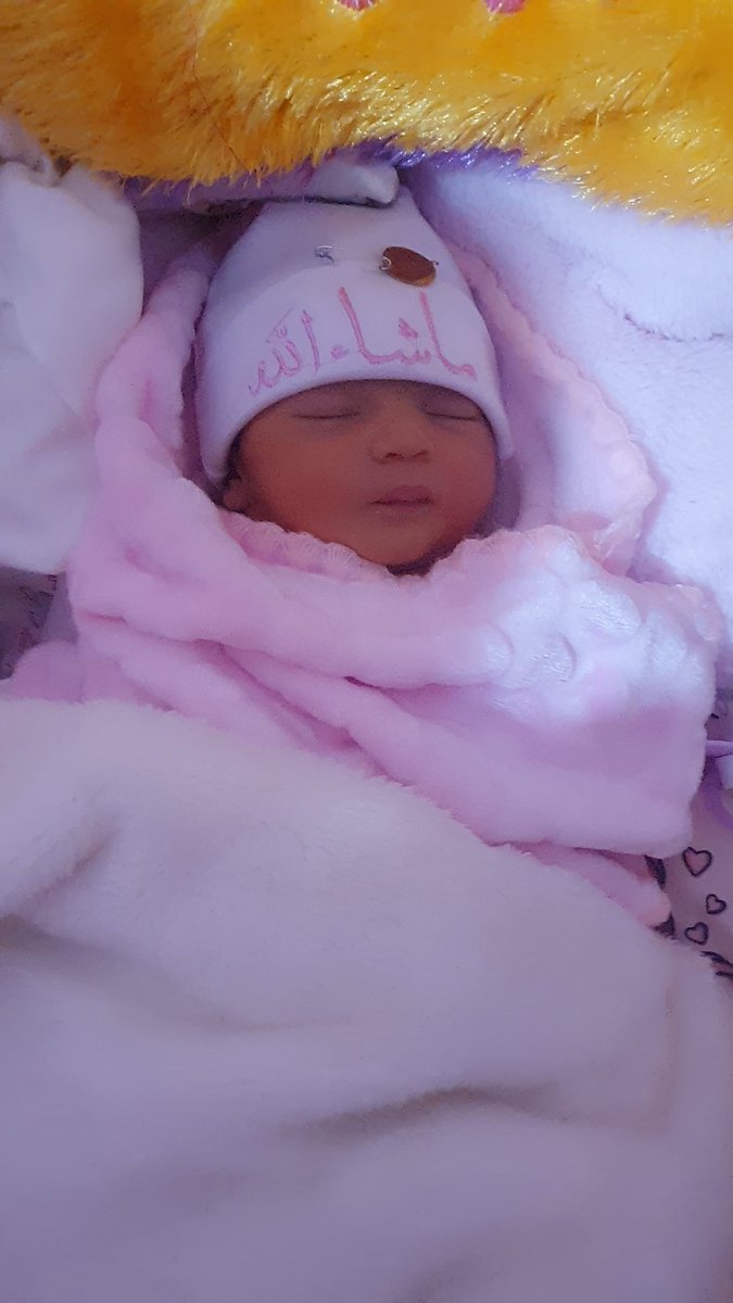 استبرق 
صغيرة العائلة