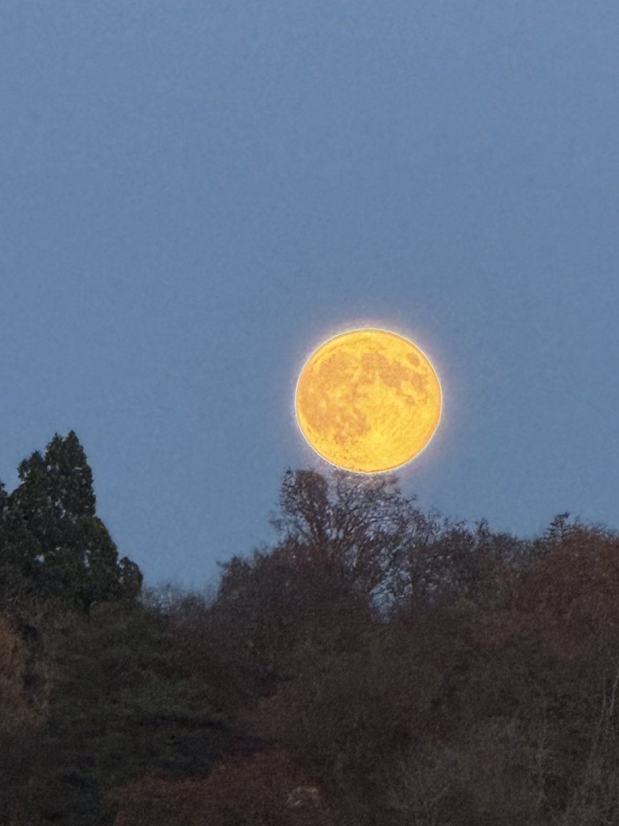 Mattequartier Bern tweet media