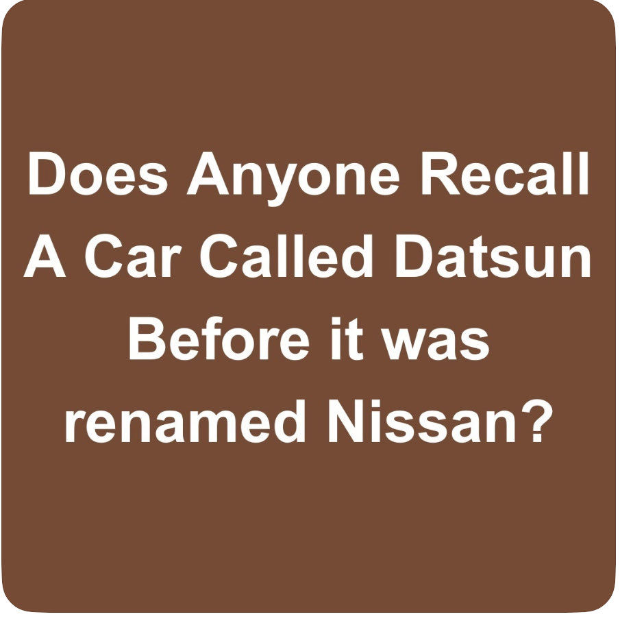 ChiChi Greenblatt tweet media