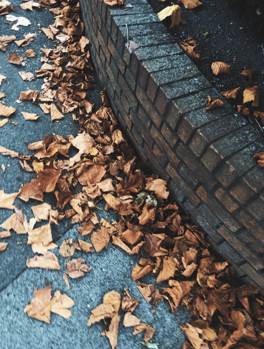 Yu4kaRai's tweet photo. #AutumnVibes https://t.co/BoU7Qq452H