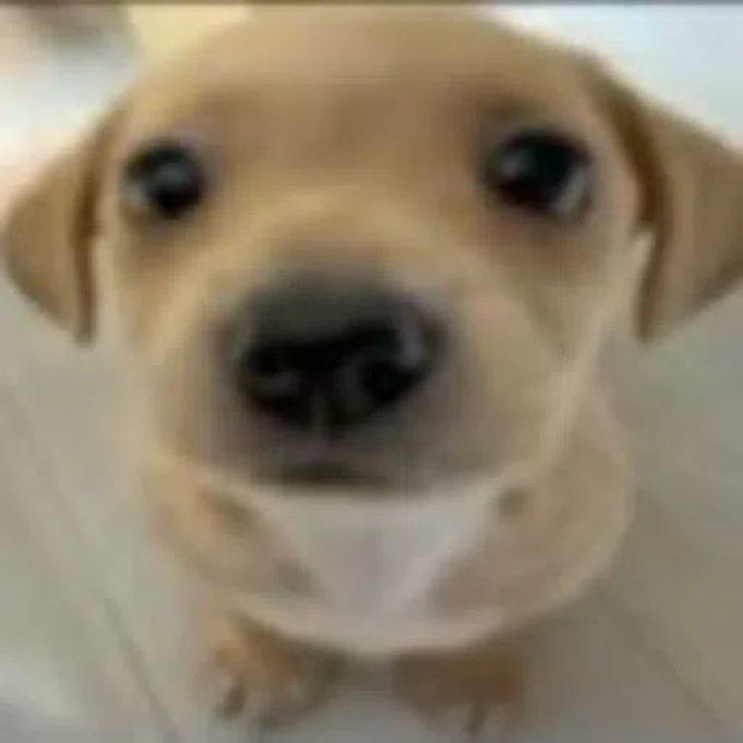 luinyeop's tweet image. na top lane - rap 
na jungle funk 
no mid mix 
no bot kpop