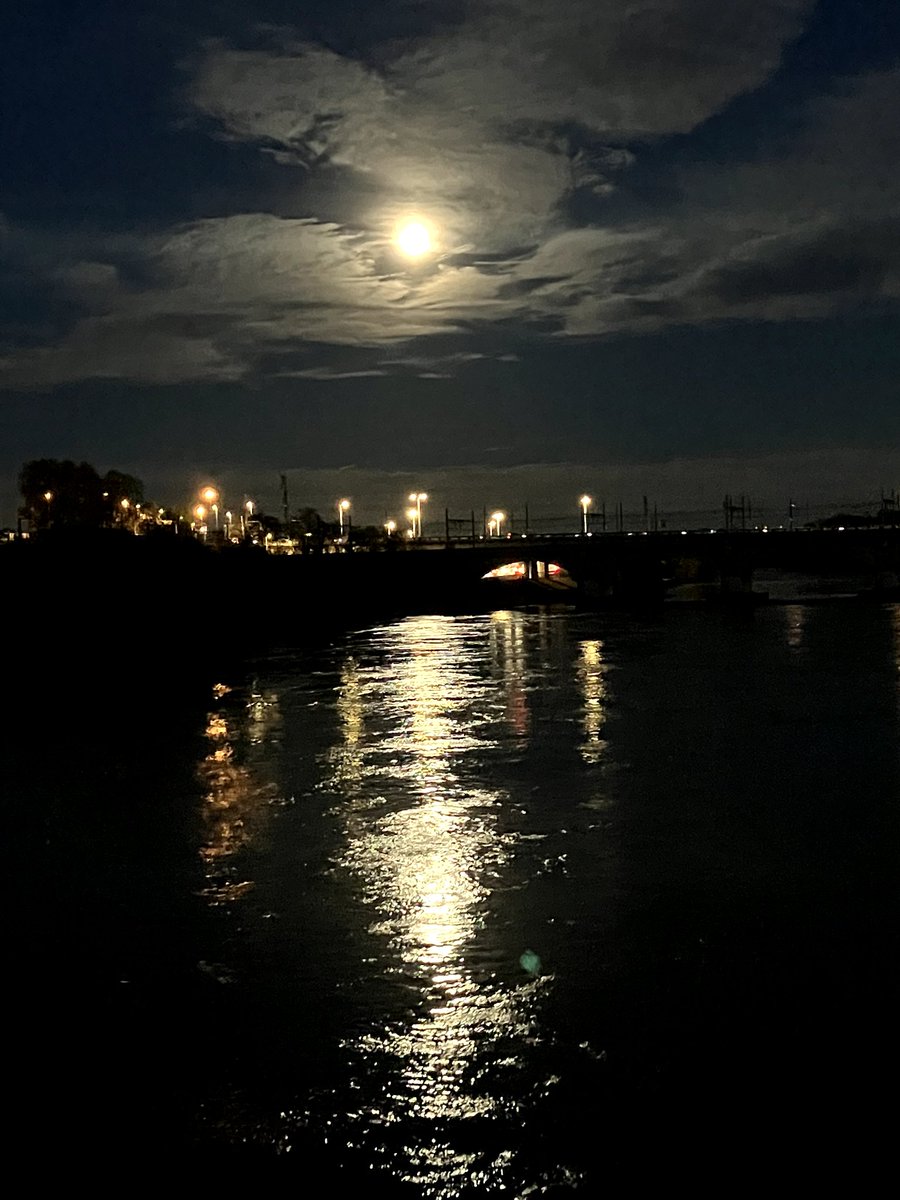 migwidk's tweet photo. November's golden supermoon #beavermoon #moonphotography #supermoon https://t.co/aVuzDbv0u7