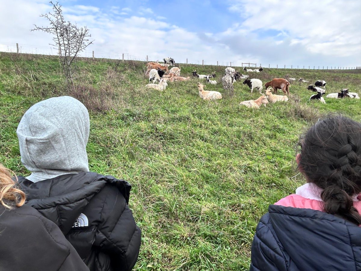 All Saints' NW2 tweet media