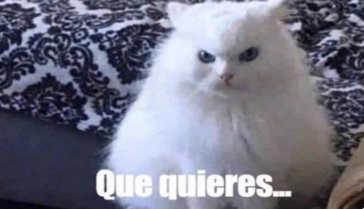 Guarromantico_'s tweet photo. Yo en el trabajo siempre con actitud positiva. https://t.co/8QYR2xLqwB