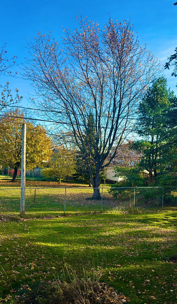 With God 🙏🏽 🎂🎂⚡️ #5Nov