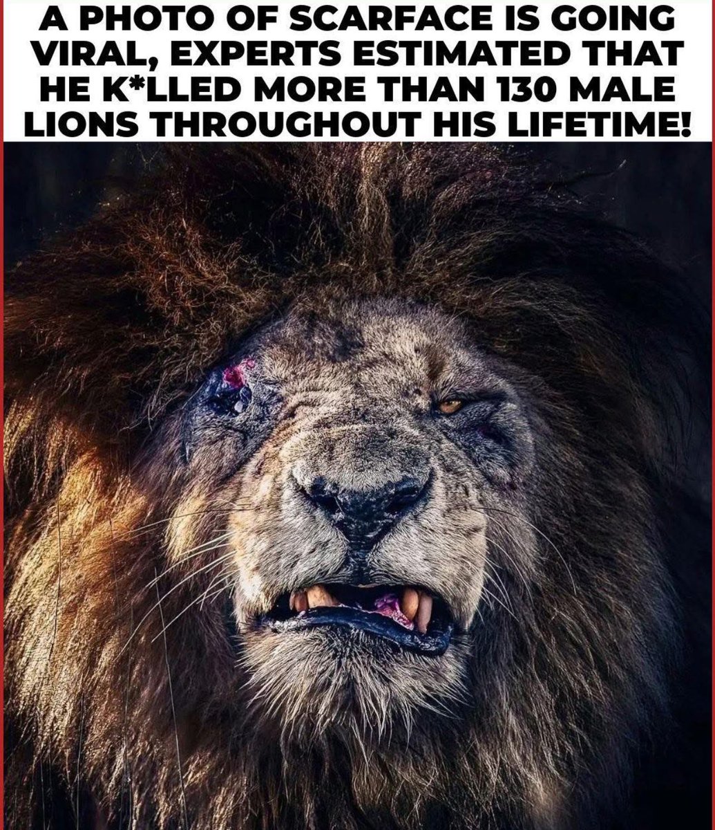 TraderSZ tweet media