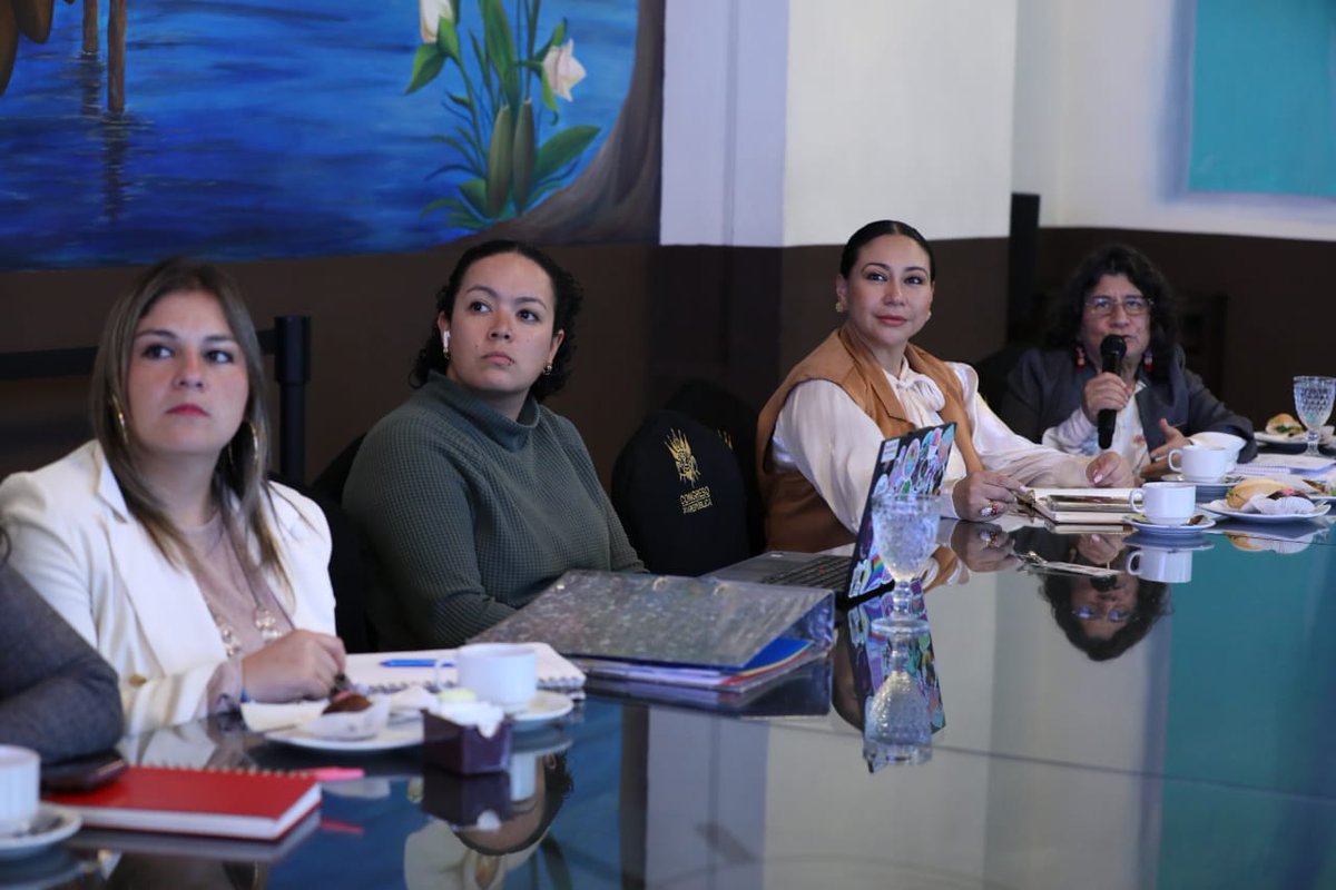 CongresoGuate's tweet photo. La Sala Legislativa de la Mujer, presidida por la diputada Sonia Gutiérrez @SoniaGRaguay, analizó las propuestas de enmiendas a la #Iniciativa5452, que busca la creación de la ley de desarrollo económico de las mujeres #Leydem y se encuentra en su segundo debate en el Pleno. https://t.co/8cXPhjEwv4