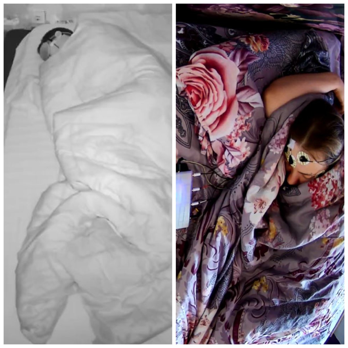 Michael Raduga tweet media