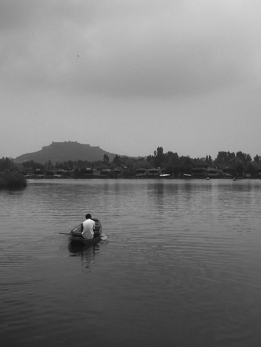 junaidishtiyaq's tweet photo. #shotoniphone https://t.co/mFtGYuUa6e