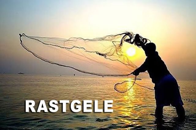 Ersin tweet media