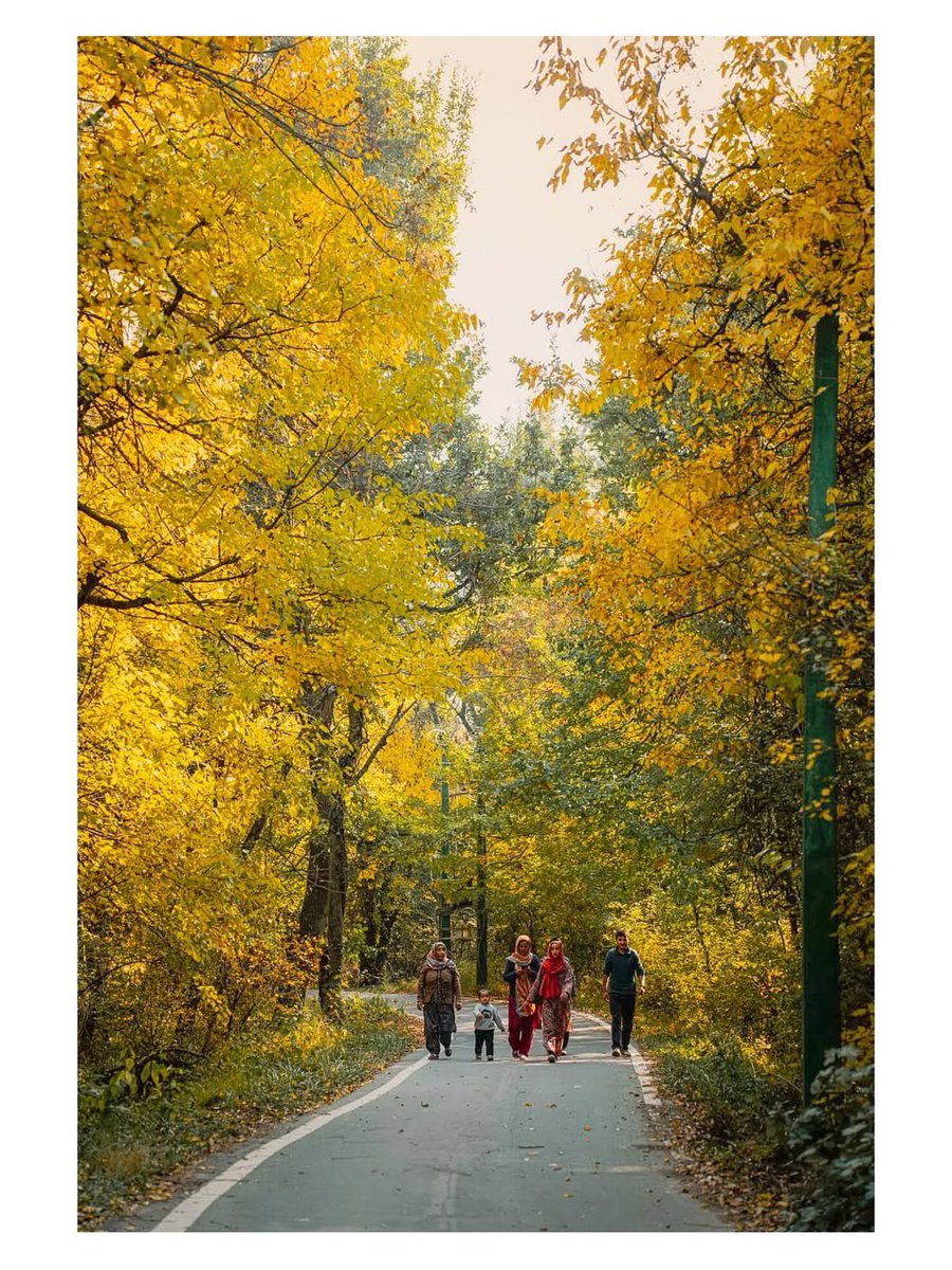 junaidishtiyaq's tweet photo. Autumn in kashmir 🍂 https://t.co/HIEDwbYAOs