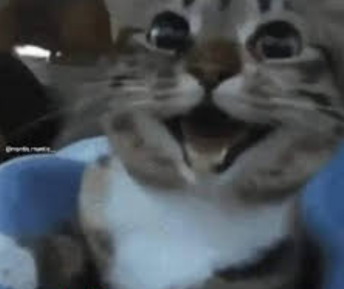 KenayKun🍃🧡 tweet media