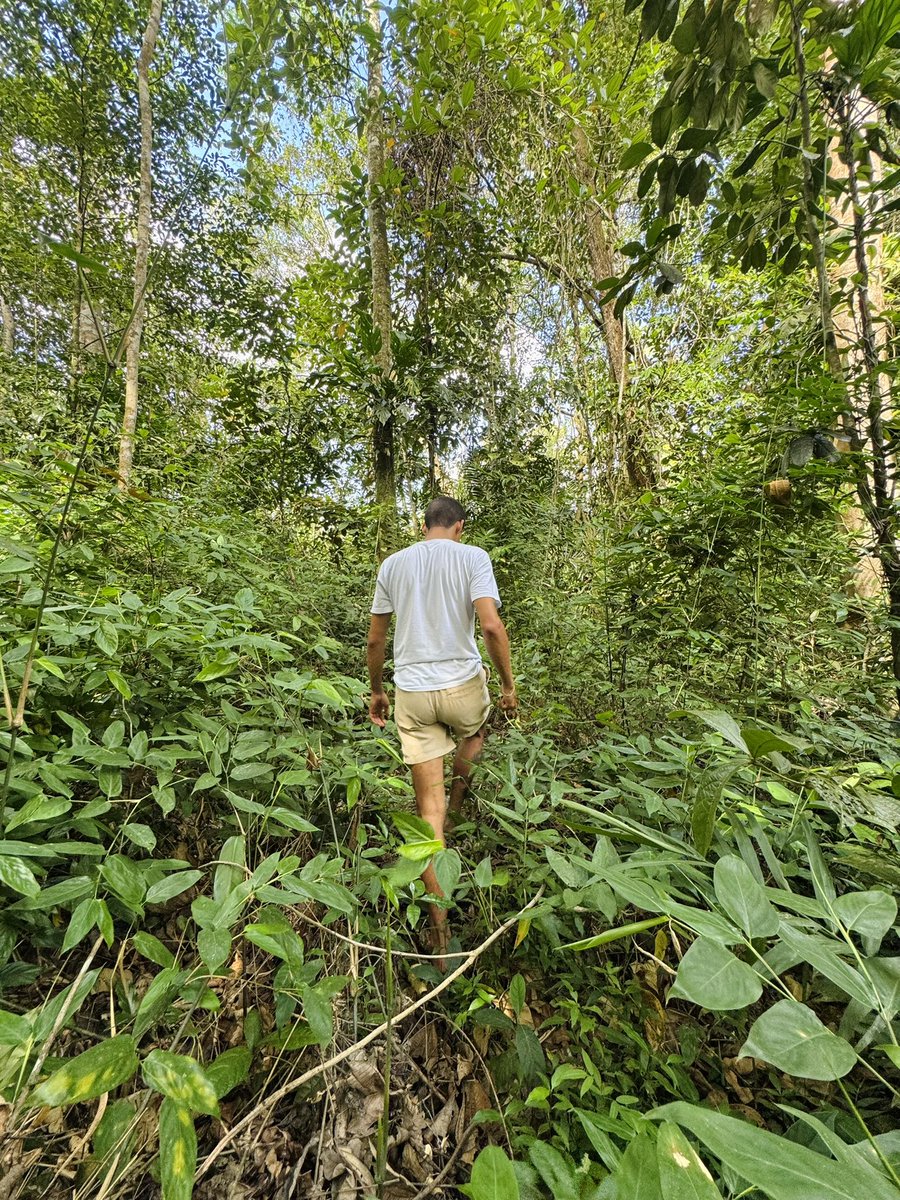 fui sozinho mais uma vez