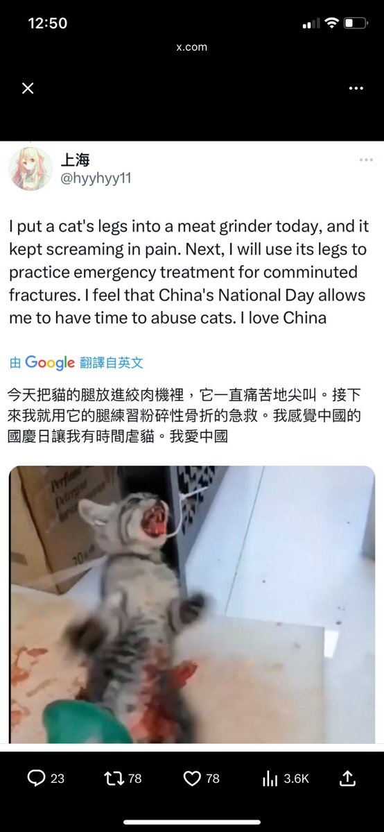 Pilgrim_Miler's tweet image. Travel to the most cruel country with animals? Where sadistic torturers are roaming free? Where there’s no a single law to punish all that psycopaths torturing kittens for porn and profit? No thank you. I’ll remain in my country fighting to abolish tauromaquia.