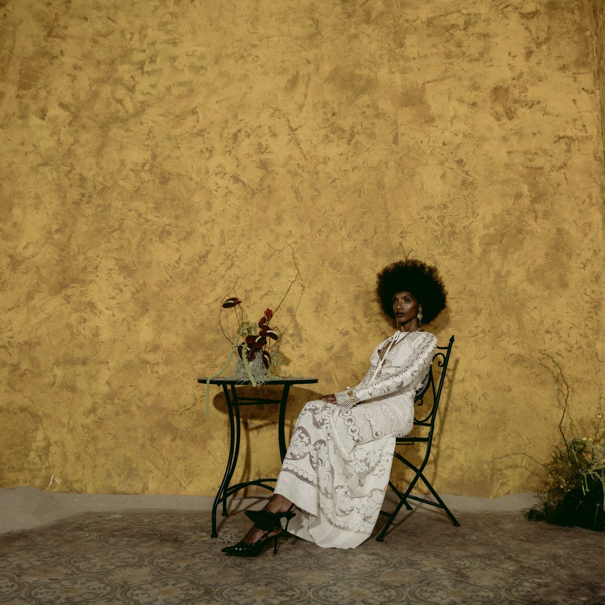 reebs 🌿 tweet media