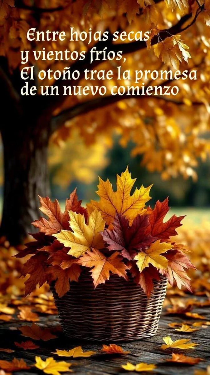 nnunezortiz's tweet photo. #NancyConecta 
#MarceTeAyuda 
@nnunezortiz 💋
@nbea_h 💝
@MarcelaErcia 🔮
@dreams_Bcn 🌼
@caitorosales 
@Paloma7725 ♥️
@DreamyTechGirl ♦️
@S2_CarlaS2 🌺
@_MaryEly_ 🌸
@ranasilvia63 🌹
@OmarOmafranco 
@Aa_ban1 
@antoniaparra8 🌷
@millo_moni 🌻
@satosato1173 
@bdonesem 🌺 https://t.co/SWHEByz8bd