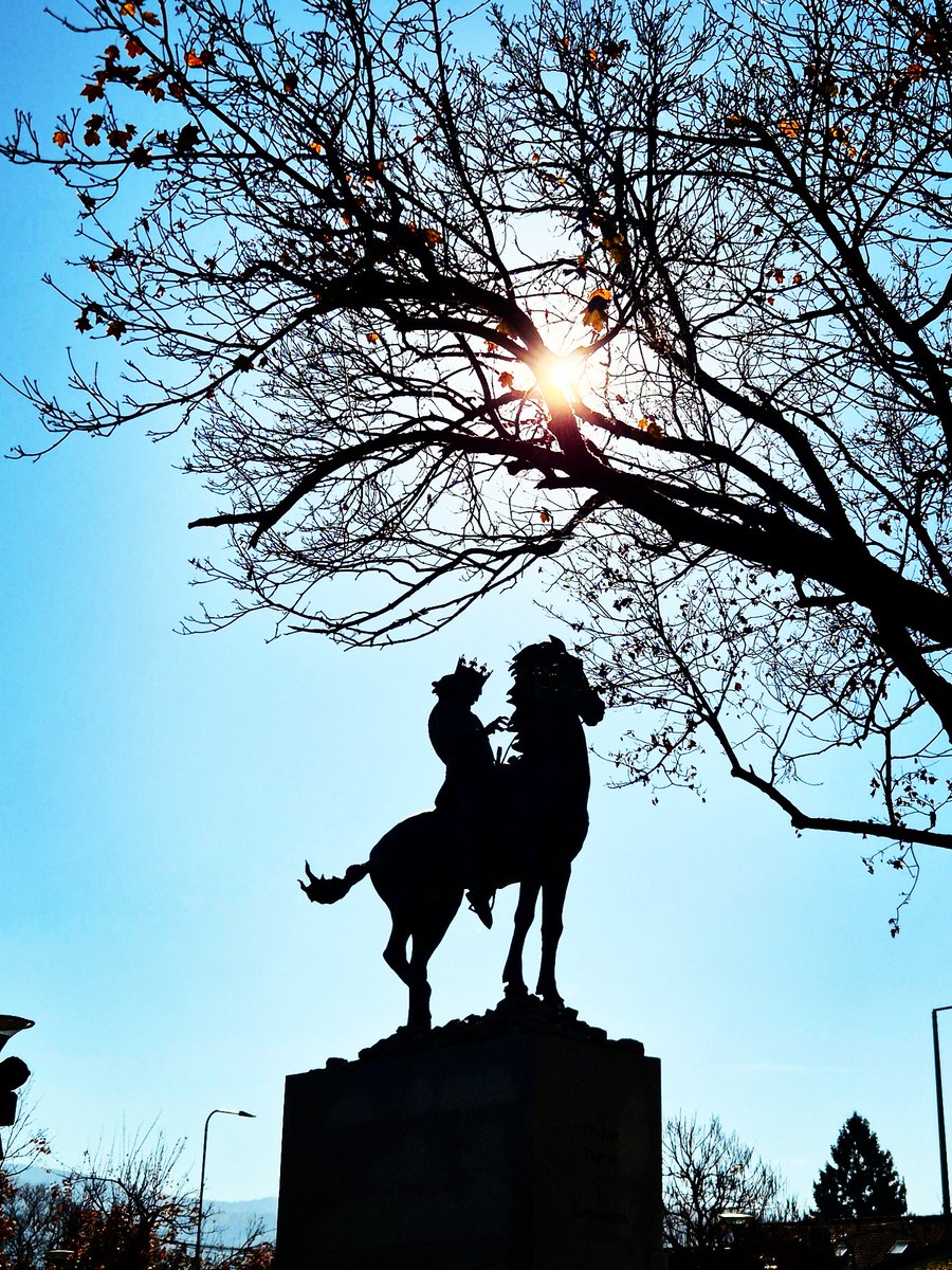 Nermin Daul tweet media