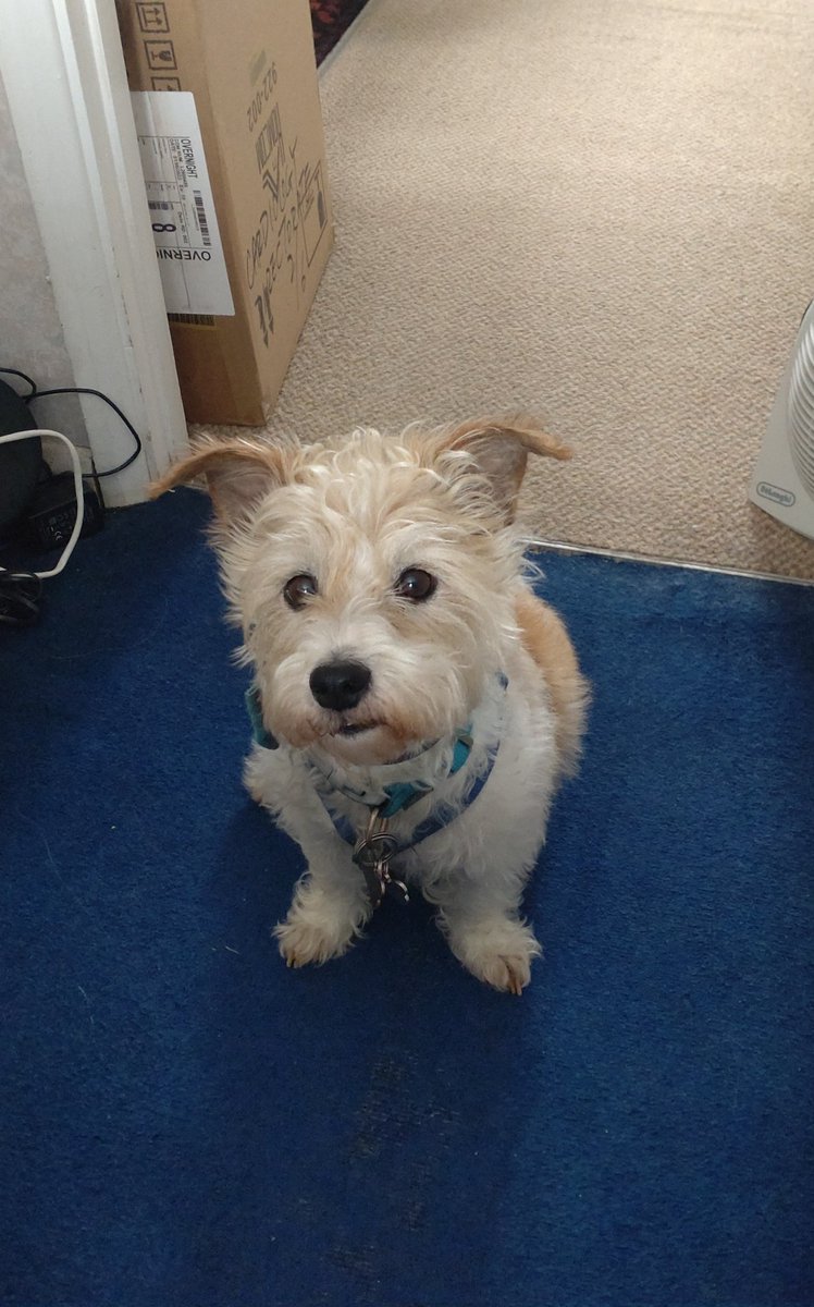 Katrina 💙 tweet media