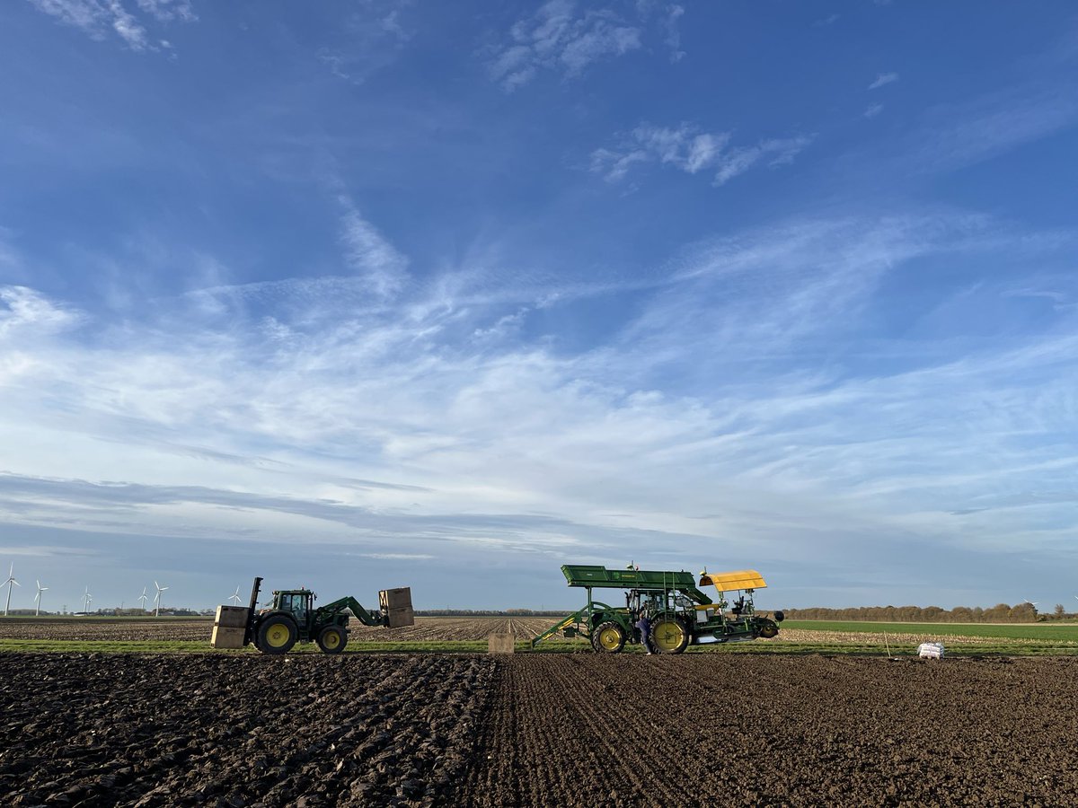 duurzaamtelen's tweet image. Weertje hoor 
#tulpen #Zeewolde