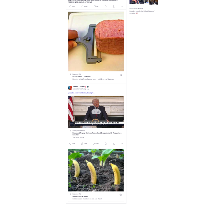 Edward Row 𓃡 tweet media