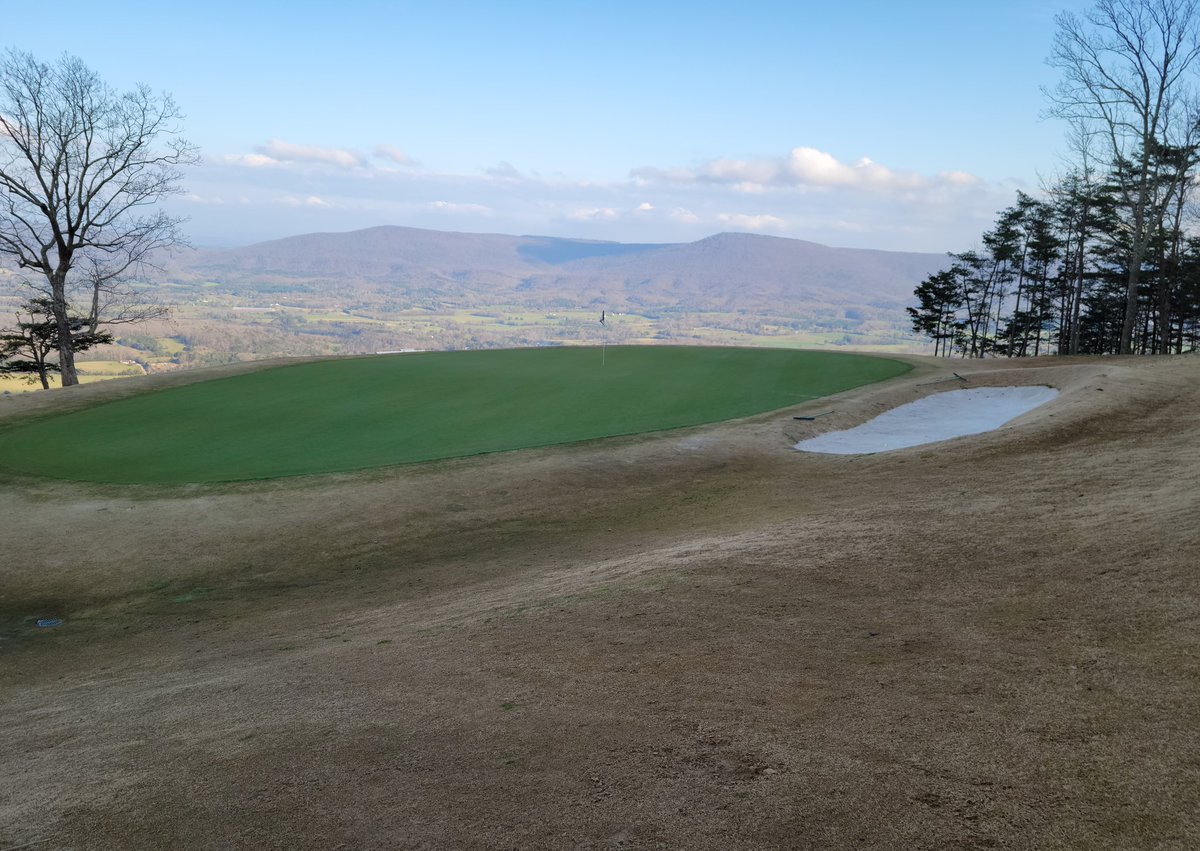 One Bearded Golfer tweet media