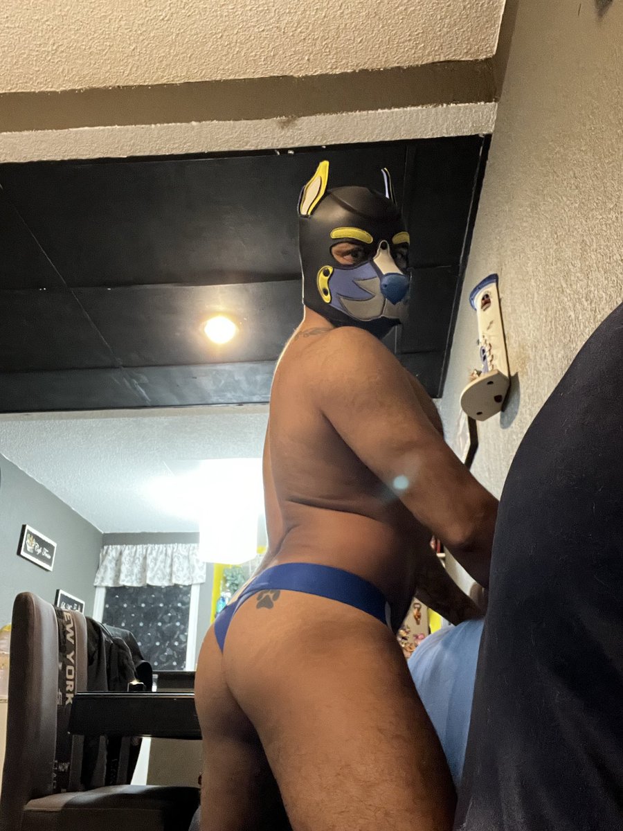 Jugamos a ser perritos?