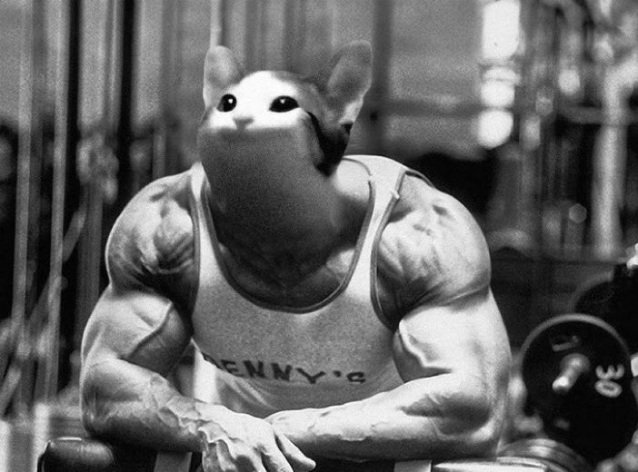 Look at $POPCAT relative strength

Noticing 

Top cat