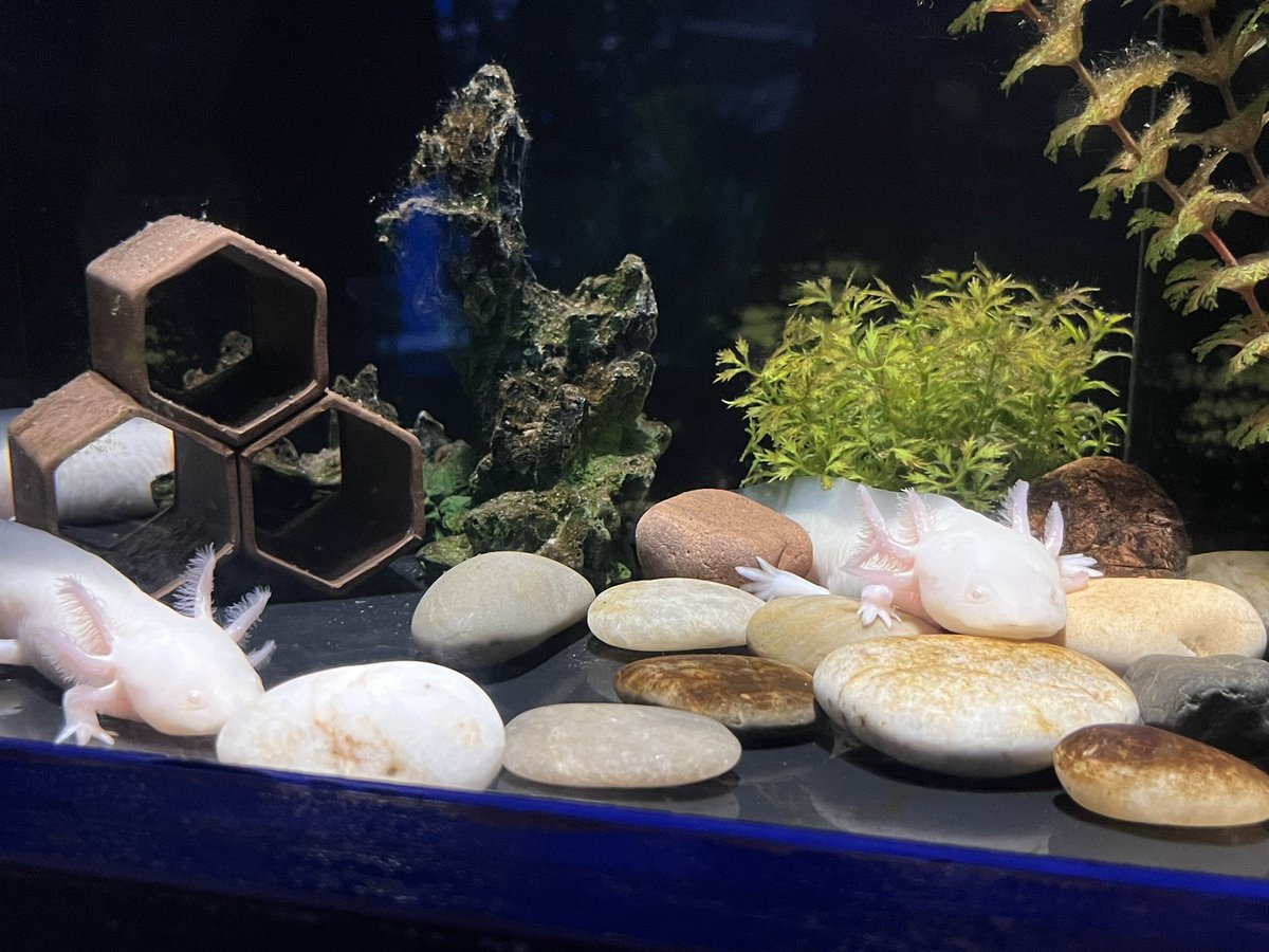 nxkxdn's tweet image. 