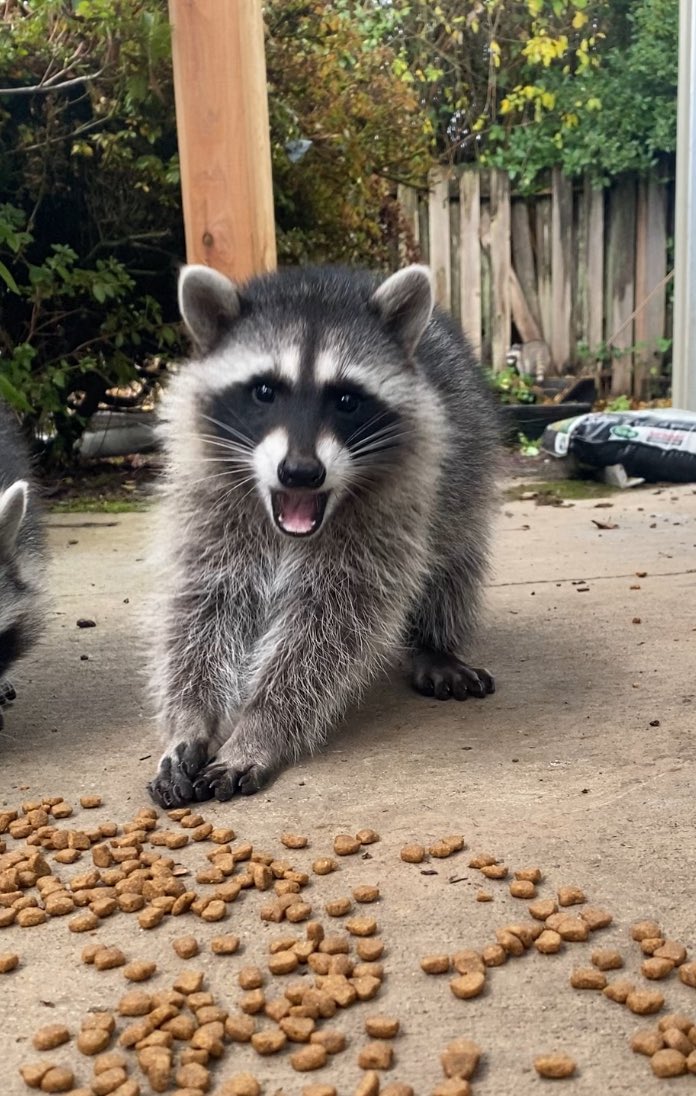 People really see this and think: “RUN AWAY”