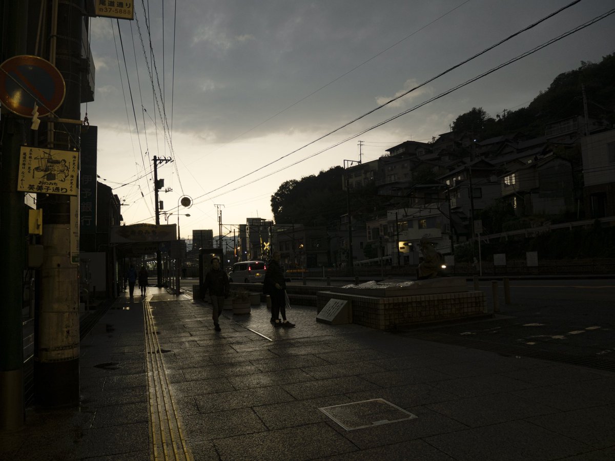 夏 tweet media