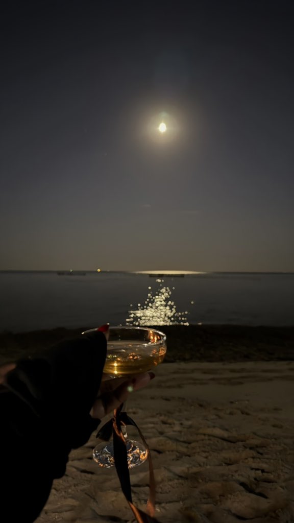 _M291's tweet image. - November nights 🌱"