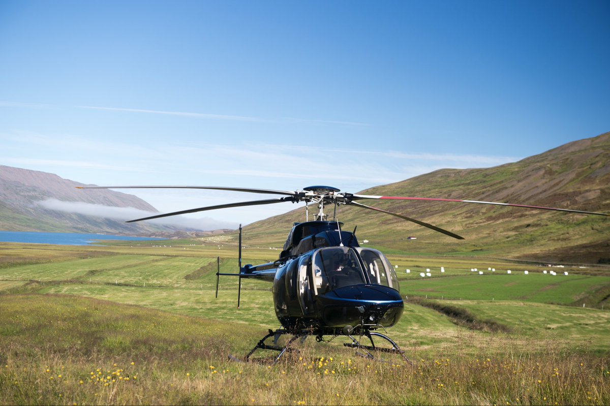 ElevenAngling tweet media