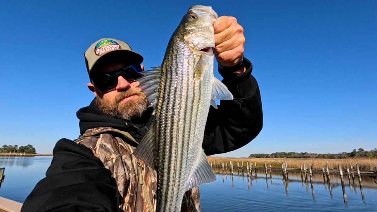 Good day on the water 
#PaddletailPounder #Rockfish #StripedBass