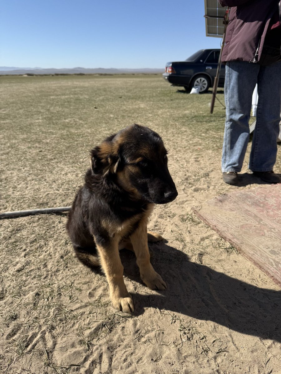 근데 여행하면서 만난 방카르 진짜다 너무 순둥순둥하고 착둥이들임🤍
