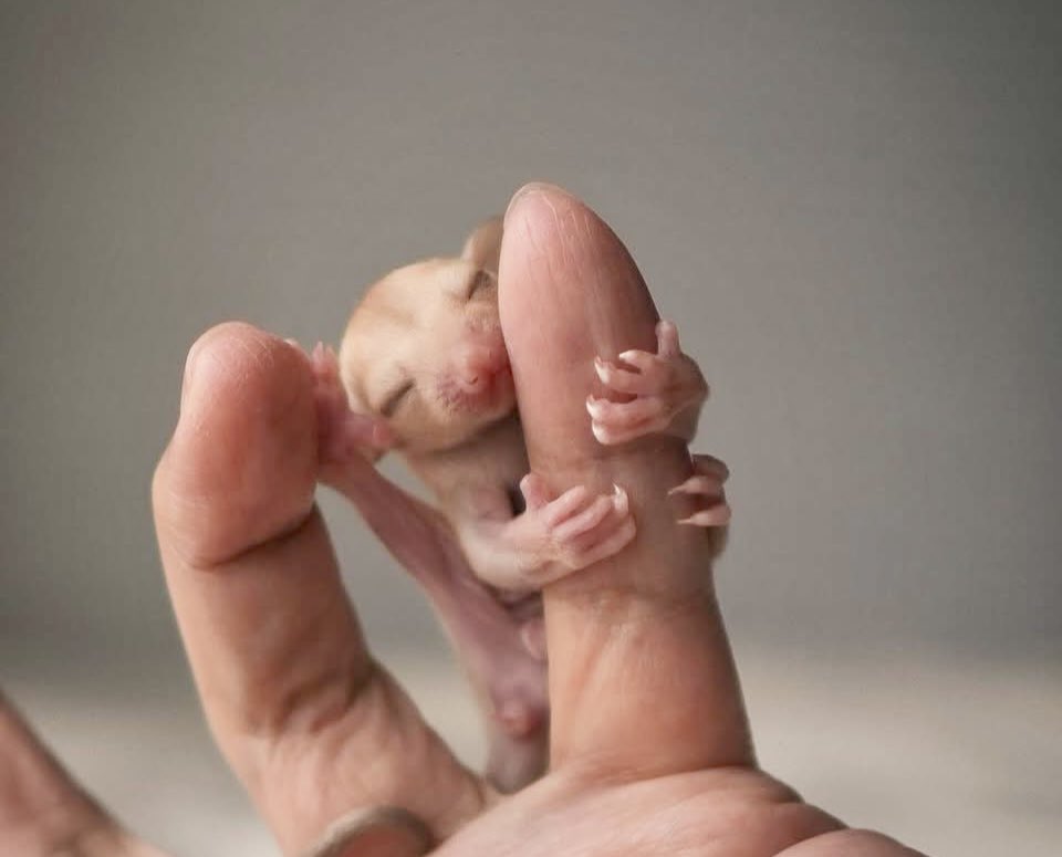 ちゃむ (@N8l7OTwweOmpuUA) / Posts / X