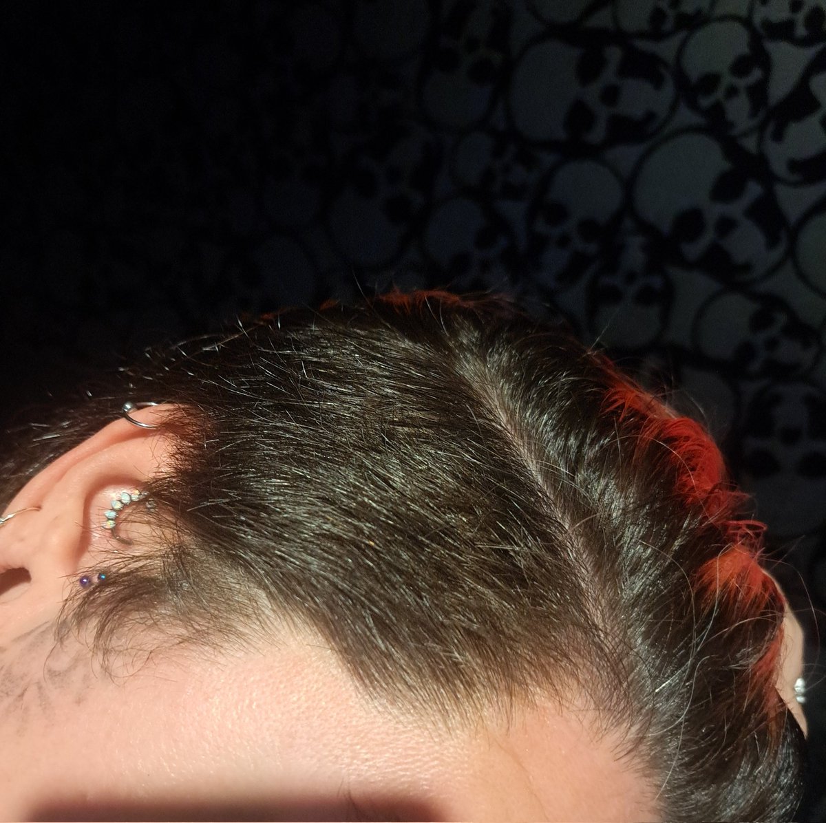 lilmsdeathstar's tweet image. 3 months of undercut growout. It&apos;s driving me batty. Not sure i can stick this out but I will push forward.... for now. 
#undercut #growout #fuzzy #greyhair #needahaircut