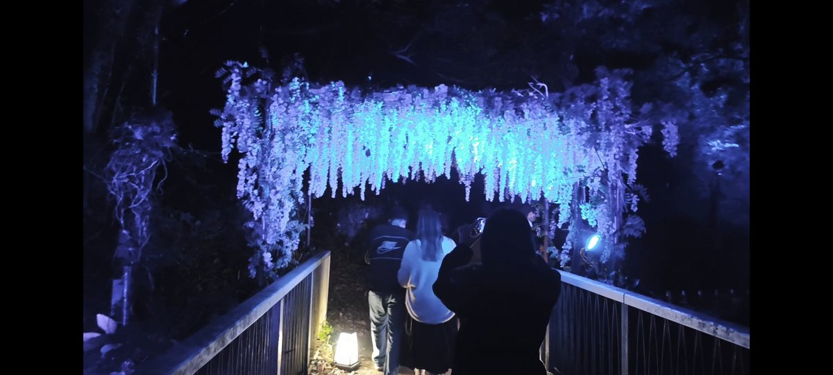 untaebi's tweet image. 淡路島、三重、ヴヴヴ2
地獄めぐりからの天国
激動の4日間笑