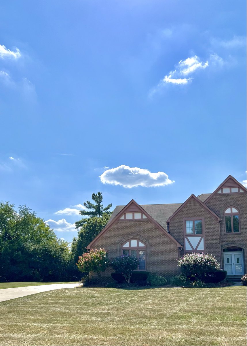 jom 🌿🌳 (@ivebeenleo) on Twitter photo 