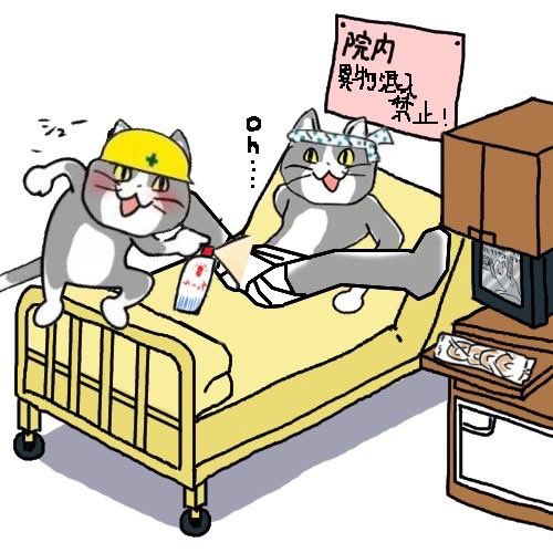 genbaneko_bot's tweet image. 今日も一日