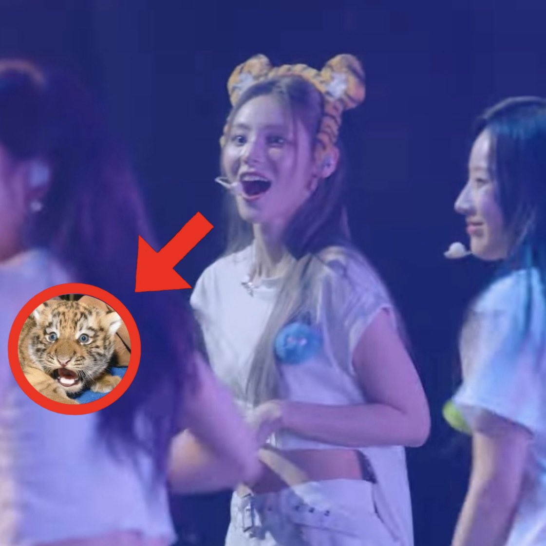 tigersoul spotted