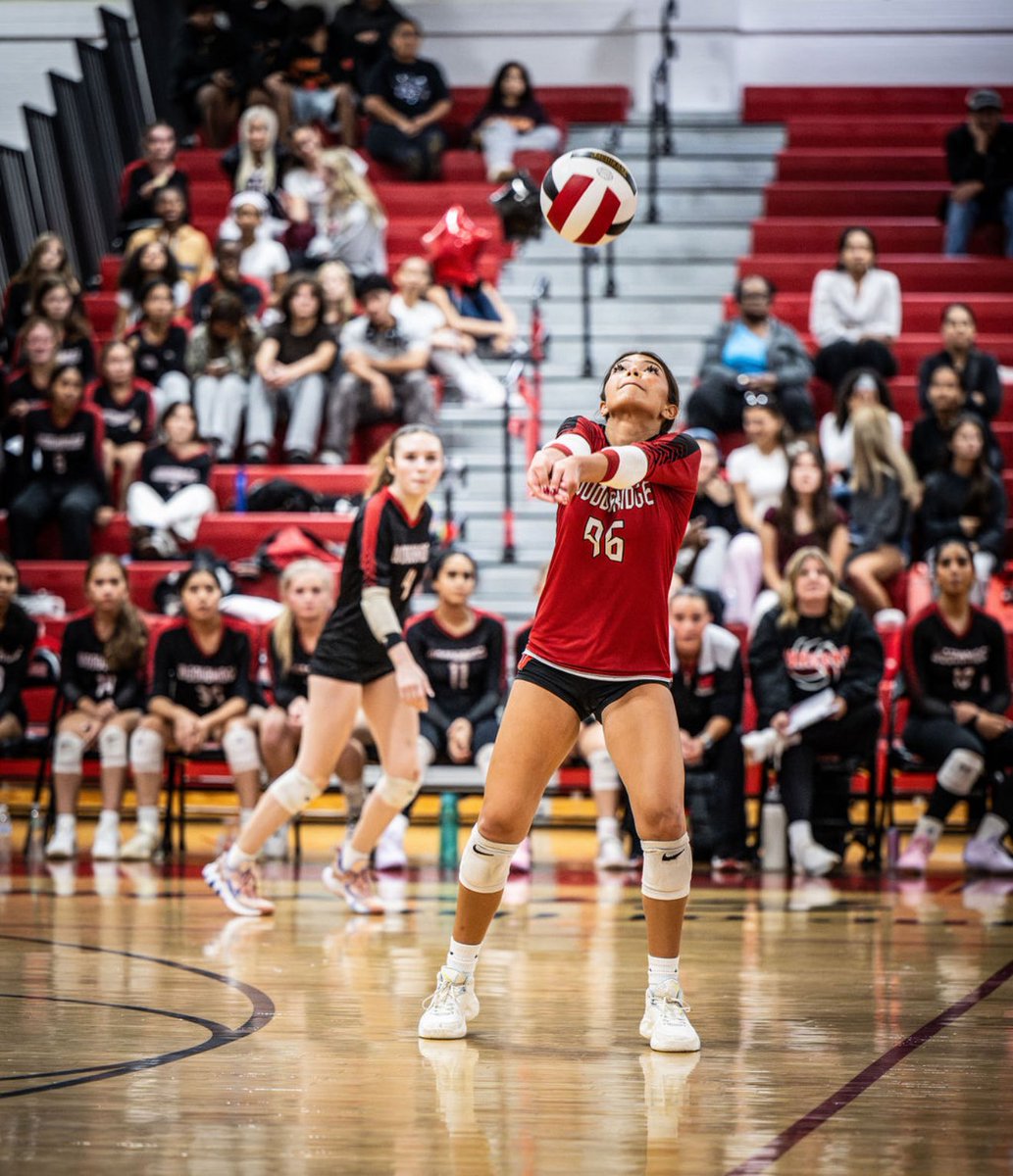 WHS Barrons Volleyball tweet media